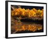 Autumn Colours of Drumheller Valley in Alberta, Drumheller Valley, Canada-Mark Newman-Framed Photographic Print