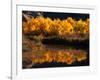 Autumn Colours of Drumheller Valley in Alberta, Drumheller Valley, Canada-Mark Newman-Framed Photographic Print