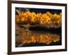 Autumn Colours of Drumheller Valley in Alberta, Drumheller Valley, Canada-Mark Newman-Framed Photographic Print