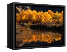 Autumn Colours of Drumheller Valley in Alberta, Drumheller Valley, Canada-Mark Newman-Framed Stretched Canvas