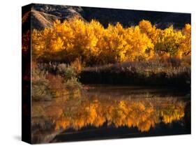 Autumn Colours of Drumheller Valley in Alberta, Drumheller Valley, Canada-Mark Newman-Stretched Canvas