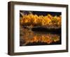 Autumn Colours of Drumheller Valley in Alberta, Drumheller Valley, Canada-Mark Newman-Framed Photographic Print