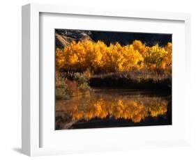 Autumn Colours of Drumheller Valley in Alberta, Drumheller Valley, Canada-Mark Newman-Framed Photographic Print