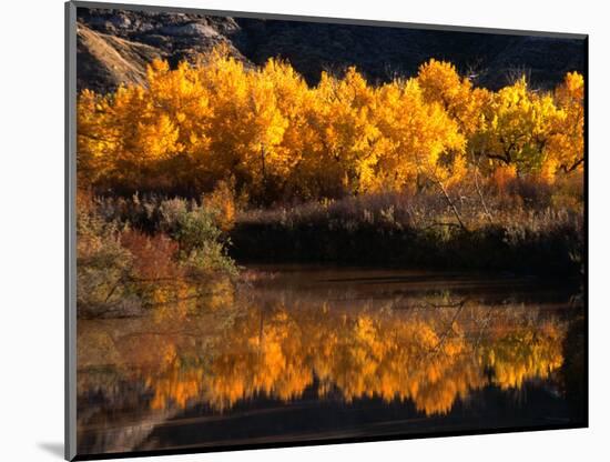 Autumn Colours of Drumheller Valley in Alberta, Drumheller Valley, Canada-Mark Newman-Mounted Photographic Print