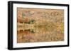 Autumn Colours Reflected in Grasmere Lake in the Lake District National Park-Julian Elliott-Framed Photographic Print