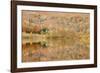 Autumn Colours Reflected in Grasmere Lake in the Lake District National Park-Julian Elliott-Framed Photographic Print