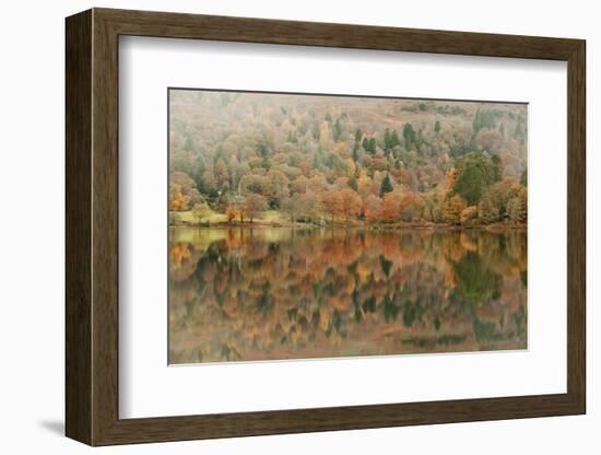 Autumn Colours Reflected in Grasmere Lake in the Lake District National Park-Julian Elliott-Framed Photographic Print