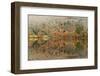 Autumn Colours Reflected in Grasmere Lake in the Lake District National Park-Julian Elliott-Framed Photographic Print