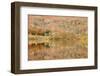 Autumn Colours Reflected in Grasmere Lake in the Lake District National Park-Julian Elliott-Framed Photographic Print