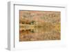 Autumn Colours Reflected in Grasmere Lake in the Lake District National Park-Julian Elliott-Framed Photographic Print