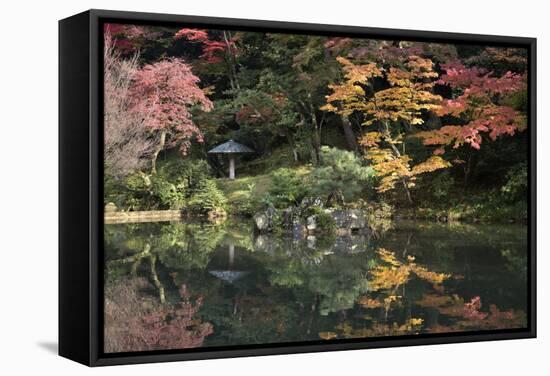 Autumn Colours Reflected in Hisagoike Pond-Stuart Black-Framed Stretched Canvas