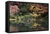 Autumn Colours Reflected in Hisagoike Pond-Stuart Black-Framed Stretched Canvas