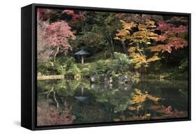 Autumn Colours Reflected in Hisagoike Pond-Stuart Black-Framed Stretched Canvas