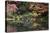 Autumn Colours Reflected in Hisagoike Pond-Stuart Black-Stretched Canvas