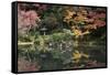 Autumn Colours Reflected in Hisagoike Pond-Stuart Black-Framed Stretched Canvas