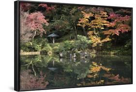 Autumn Colours Reflected in Hisagoike Pond-Stuart Black-Framed Photographic Print