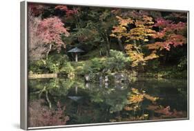 Autumn Colours Reflected in Hisagoike Pond-Stuart Black-Framed Photographic Print