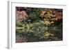 Autumn Colours Reflected in Hisagoike Pond-Stuart Black-Framed Photographic Print