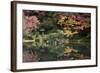 Autumn Colours Reflected in Hisagoike Pond-Stuart Black-Framed Photographic Print