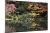 Autumn Colours Reflected in Hisagoike Pond-Stuart Black-Mounted Photographic Print