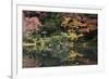 Autumn Colours Reflected in Hisagoike Pond-Stuart Black-Framed Photographic Print