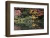 Autumn Colours Reflected in Hisagoike Pond-Stuart Black-Framed Photographic Print