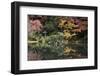 Autumn Colours Reflected in Hisagoike Pond-Stuart Black-Framed Photographic Print