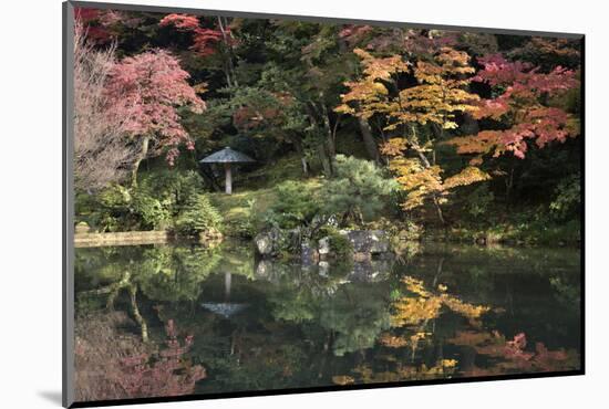 Autumn Colours Reflected in Hisagoike Pond-Stuart Black-Mounted Photographic Print