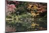 Autumn Colours Reflected in Hisagoike Pond-Stuart Black-Mounted Photographic Print