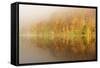 Autumn Colours Showing on the Wooded Banks of Loch Tummel-Stephen Taylor-Framed Stretched Canvas