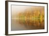 Autumn Colours Showing on the Wooded Banks of Loch Tummel-Stephen Taylor-Framed Photographic Print