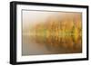 Autumn Colours Showing on the Wooded Banks of Loch Tummel-Stephen Taylor-Framed Photographic Print