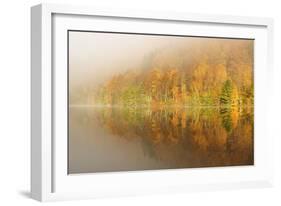 Autumn Colours Showing on the Wooded Banks of Loch Tummel-Stephen Taylor-Framed Photographic Print