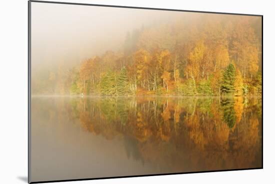 Autumn Colours Showing on the Wooded Banks of Loch Tummel-Stephen Taylor-Mounted Photographic Print