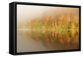 Autumn Colours Showing on the Wooded Banks of Loch Tummel-Stephen Taylor-Framed Stretched Canvas