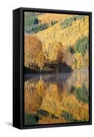 Autumn Colours Showing on the Wooded Banks of Loch Tummel-Stephen Taylor-Framed Stretched Canvas