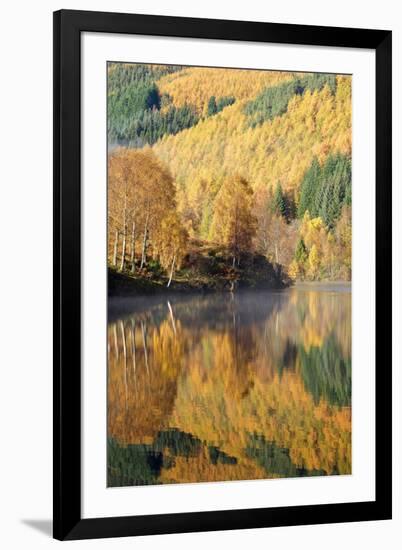 Autumn Colours Showing on the Wooded Banks of Loch Tummel-Stephen Taylor-Framed Photographic Print