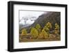 Autumn colours, snow covered mountains, Baima Snow Mountain Nature reserve, Yunnan, China-Staffan Widstrand/Wild Wonders of China-Framed Photographic Print