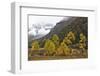 Autumn colours, snow covered mountains, Baima Snow Mountain Nature reserve, Yunnan, China-Staffan Widstrand/Wild Wonders of China-Framed Photographic Print