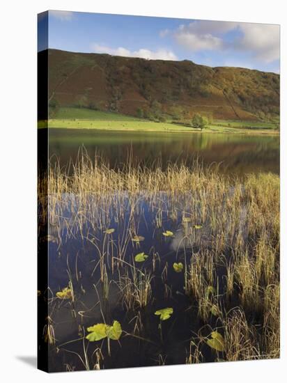 Autumn Colours, Watendlath Tarn, Borrowdale, Lake District National Park, Cumbria, England, UK-Neale Clarke-Stretched Canvas