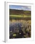 Autumn Colours, Watendlath Tarn, Borrowdale, Lake District National Park, Cumbria, England, UK-Neale Clarke-Framed Photographic Print