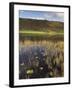 Autumn Colours, Watendlath Tarn, Borrowdale, Lake District National Park, Cumbria, England, UK-Neale Clarke-Framed Photographic Print