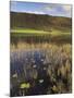 Autumn Colours, Watendlath Tarn, Borrowdale, Lake District National Park, Cumbria, England, UK-Neale Clarke-Mounted Photographic Print