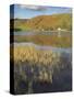 Autumn Colours, Watendlath Tarn, Borrowdale, Lake District National Park, Cumbria, England-Neale Clarke-Stretched Canvas