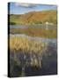 Autumn Colours, Watendlath Tarn, Borrowdale, Lake District National Park, Cumbria, England-Neale Clarke-Stretched Canvas
