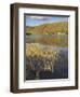 Autumn Colours, Watendlath Tarn, Borrowdale, Lake District National Park, Cumbria, England-Neale Clarke-Framed Photographic Print