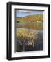 Autumn Colours, Watendlath Tarn, Borrowdale, Lake District National Park, Cumbria, England-Neale Clarke-Framed Photographic Print