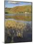 Autumn Colours, Watendlath Tarn, Borrowdale, Lake District National Park, Cumbria, England-Neale Clarke-Mounted Photographic Print