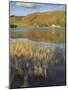 Autumn Colours, Watendlath Tarn, Borrowdale, Lake District National Park, Cumbria, England-Neale Clarke-Mounted Photographic Print