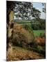 Autumn Colours, Winkworth Arboretum, Surrey, England, United Kingdom-David Hunter-Mounted Photographic Print
